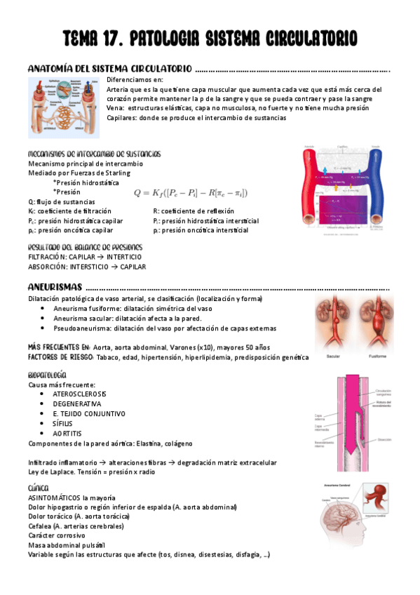 Miniatura del documento TEMA-17.-PATOLOGIA-SISTEMA-CIRCULATORIO.pdf