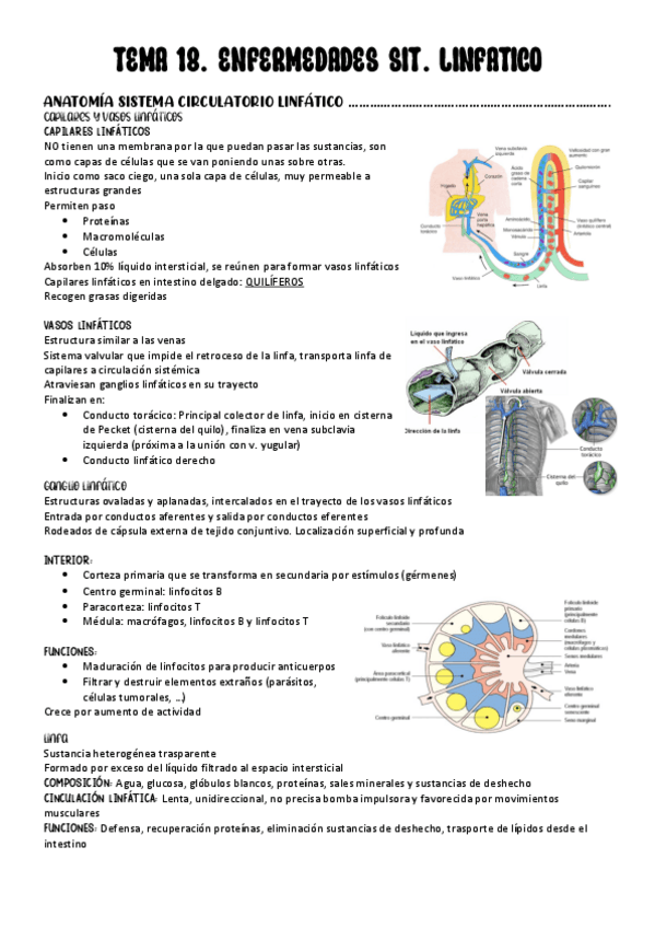 Miniatura del documento TEMA-18.-ENFERMEDADES-DEL-SIST.-LINFATICO.pdf