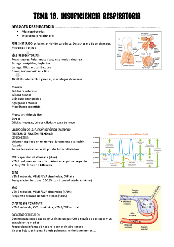 Miniatura del documento TEMA-19.-INSUFICIENCIA-RESPIRATORIA.pdf