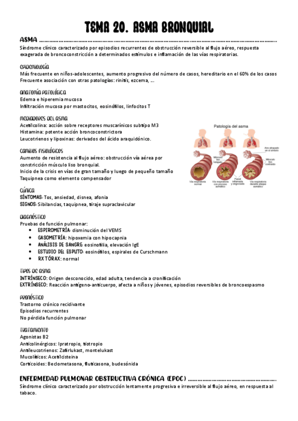 Miniatura del documento TEMA-20.-ASMA-BRONQUIAL.pdf