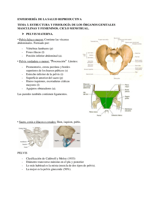 Miniatura del documento TEMA-3.pdf
