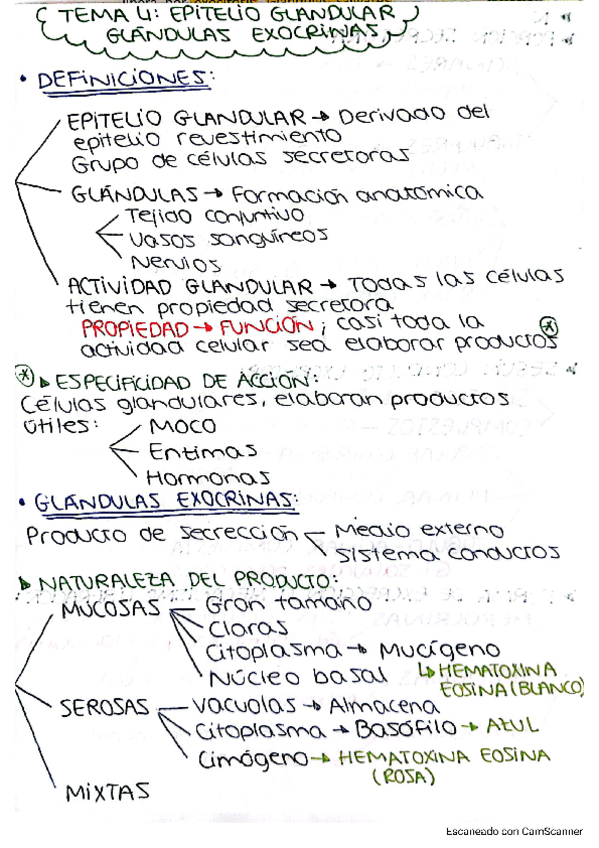 Miniatura del documento Esquemas-repaso-Histologia.pdf