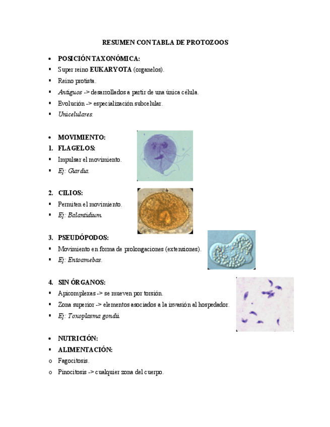 Miniatura del documento Resumen--tabla-de-protozoos.pdf