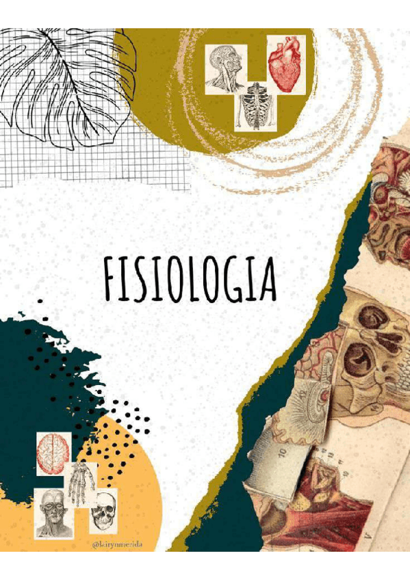 Miniatura del documento Apuntes-fisio-unidos.pdf