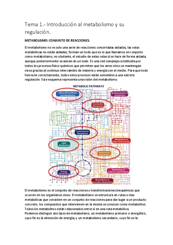 Miniatura del documento Tema 1 - Introducción al metabolismo y su regulación..pdf