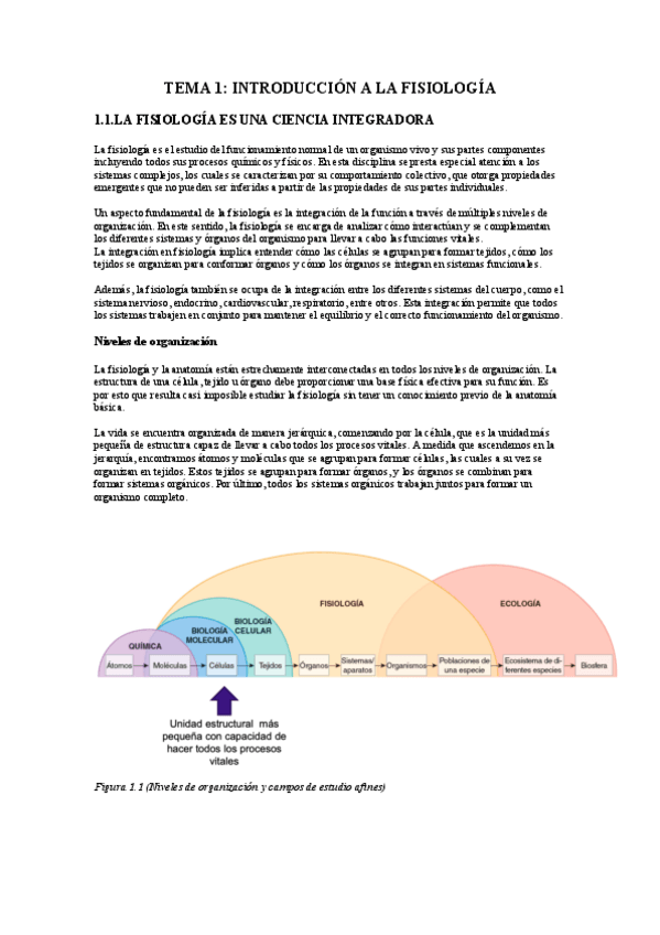 Miniatura del documento UBU-TO-TEMA-1-FISIO-Introduccion-a-la-fisiologia.pdf
