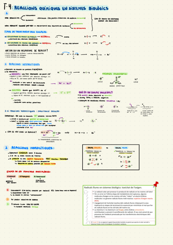 Miniatura del documento Tema-4-Reaccions-i-redox.pdf