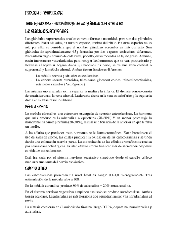 Miniatura del documento FISIO-ENDOCRINO.pdf