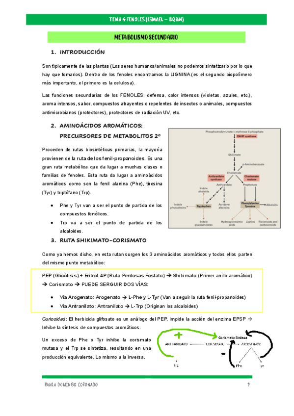 Miniatura del documento TEMA-4-FENOLES-ISMAEL.pdf