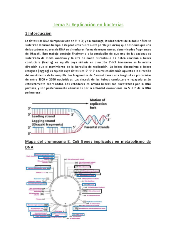 Miniatura del documento Tema 3.pdf