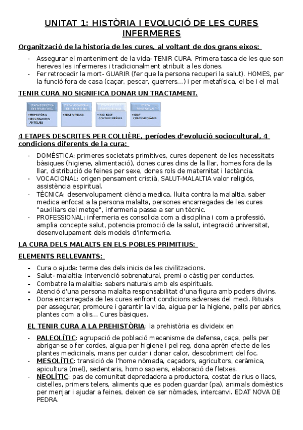 Miniatura del documento TEMA1-HISTORIA.docx