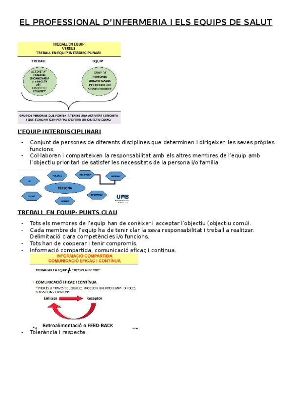 Miniatura del documento INTRODUCCIO-TREBALL-EN-EQUIP.docx