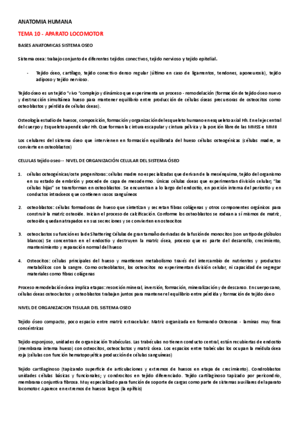 Miniatura del documento ANATOMIA-HUMANA-TEMA-10.pdf
