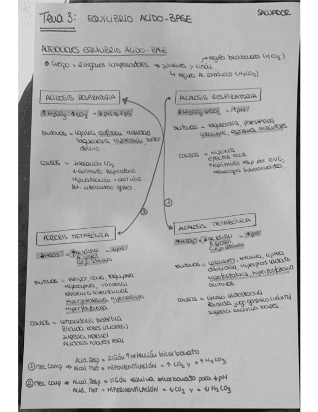 Miniatura del documento eq-acido-base.pdf