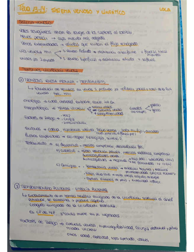 Miniatura del documento sistema-venoso-y-linfatico.pdf