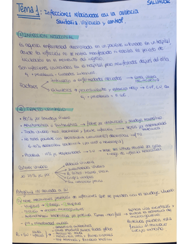 Miniatura del documento infecciones-relacionadas-con-la-asistencia.pdf