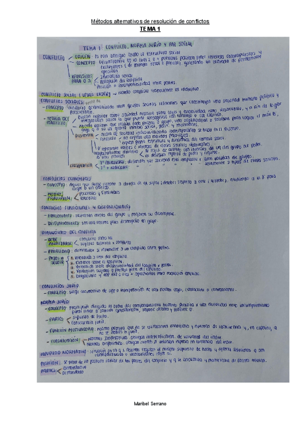 Miniatura del documento ESQUEMA-TEMA-1-METODOS-ALTERNATIVOS.pdf
