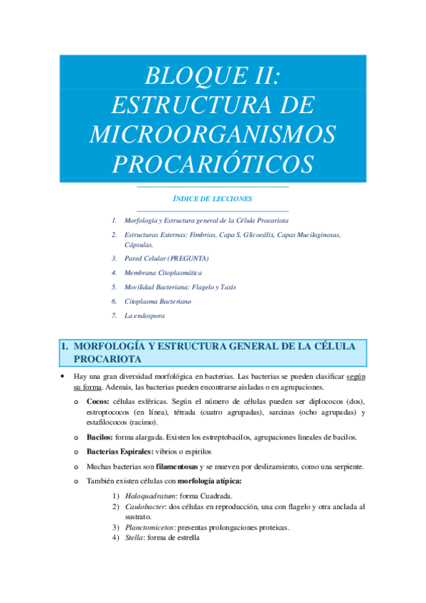 Miniatura del documento BLOQUE II.pdf