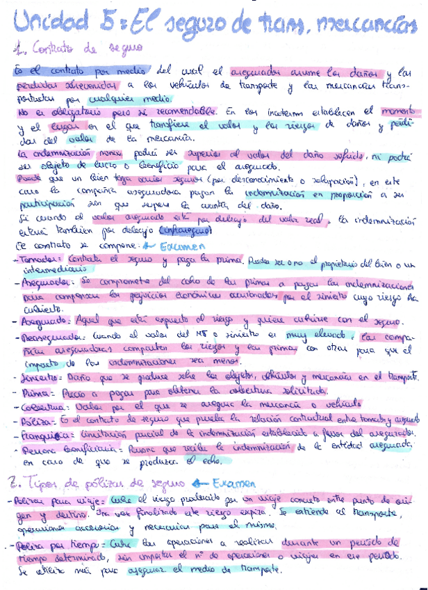 Miniatura del documento Tema-5-El-seguro-de-transporte-de-mercancias-Lara.pdf