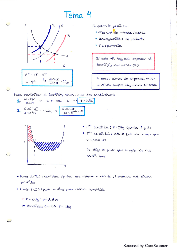 Miniatura del documento Tema 4 - micro.pdf