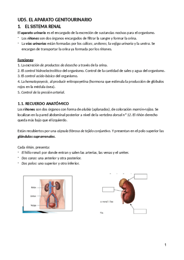 Miniatura del documento UD5-CITOLOGIA-GENERAL.pdf