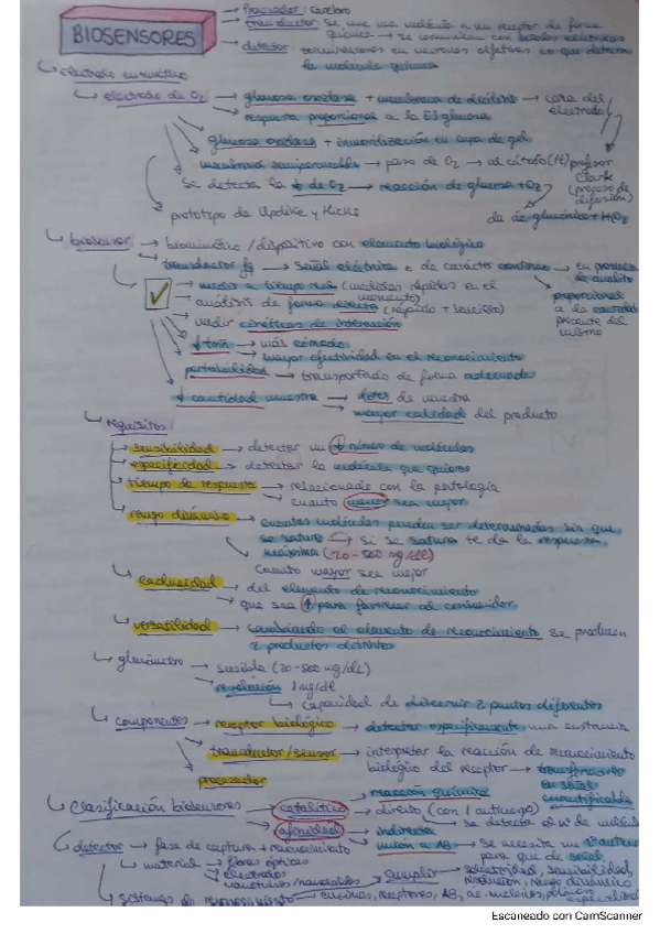 Miniatura del documento biosensores.pdf
