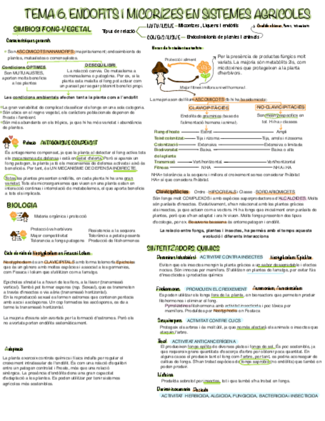 Miniatura del documento Resum-mico-1.pdf