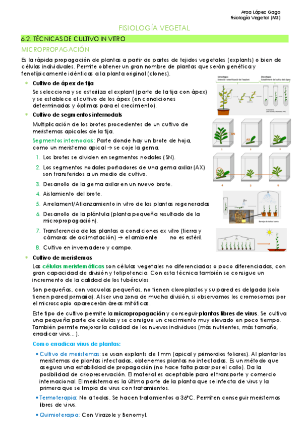 Miniatura del documento TEMA-6.2-Grupo-M3.pdf