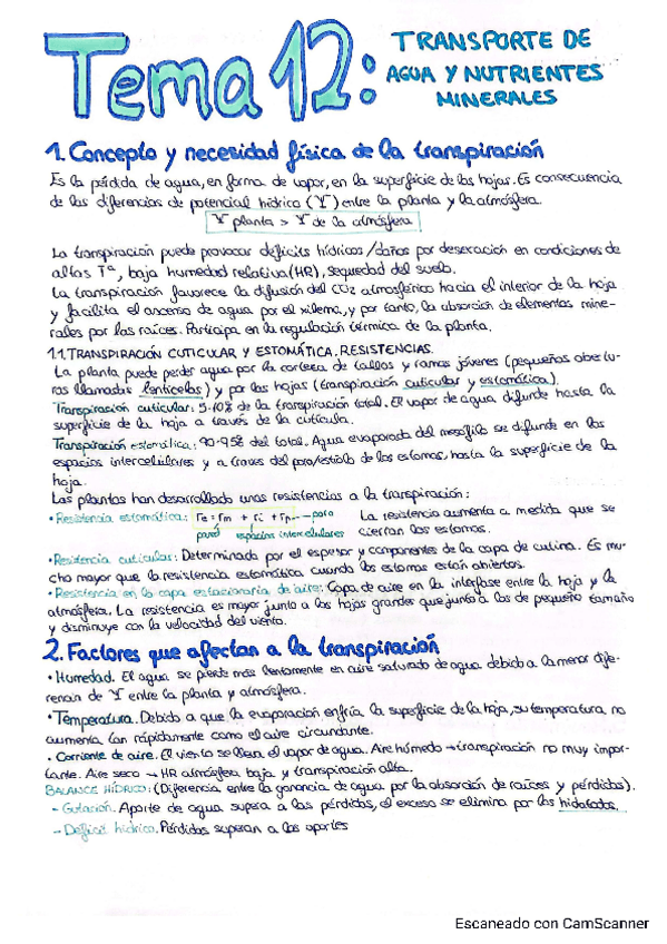 Miniatura del documento Tema-12.-Transporte-de-agua-y-nutrientes-minerales..pdf