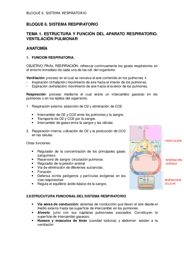 Miniatura del documento Fisio-bloque-6.-Respiratorio 2023-2024.docx