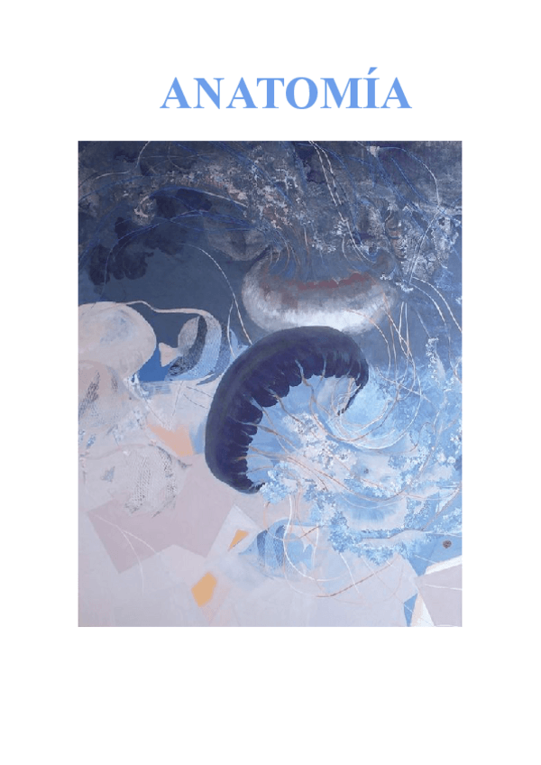 Miniatura del documento Anatomia.pdf
