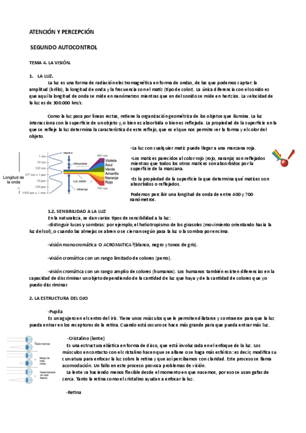 Miniatura del documento atencion-y-percepcion-tema4pdf.pdf