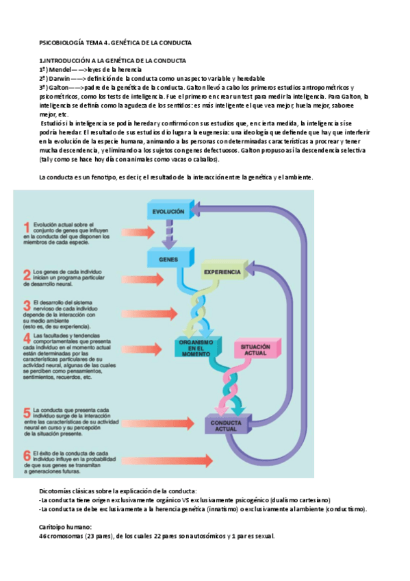 Miniatura del documento psicobiologia-tema4pdf.pdf