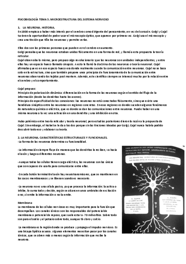 Miniatura del documento psicobiologia-tema5pdf.pdf