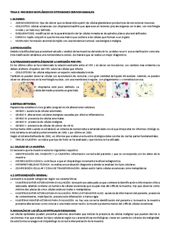 Miniatura del documento TEMA-5-CITO-GINE.pdf