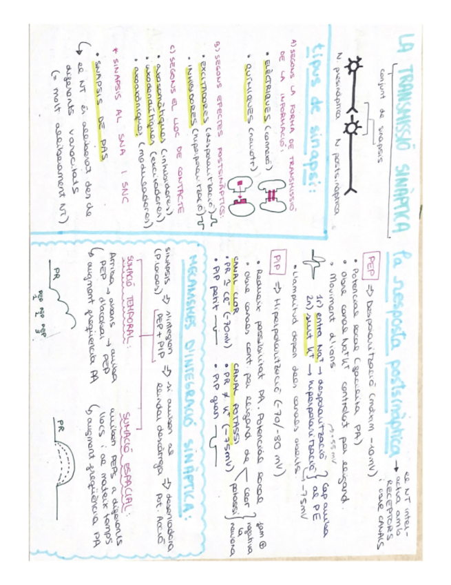 Miniatura del documento TEMA-3-PSICOBIOLOGIA-ESQUEMA.pdf