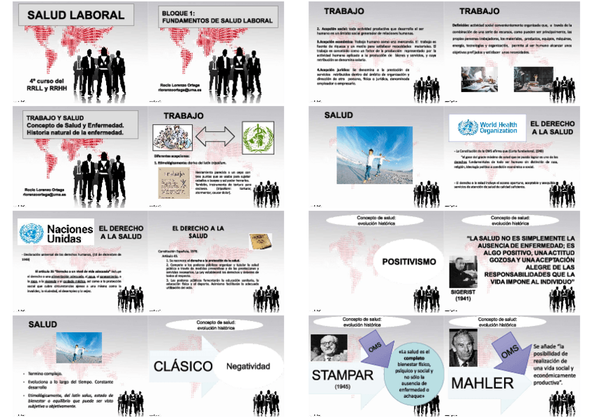 Miniatura del documento temario-entero-de-salud-laboral.pdf