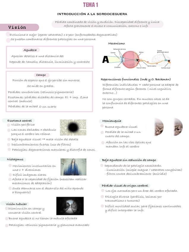 Miniatura del documento Sordoceguera.pdf