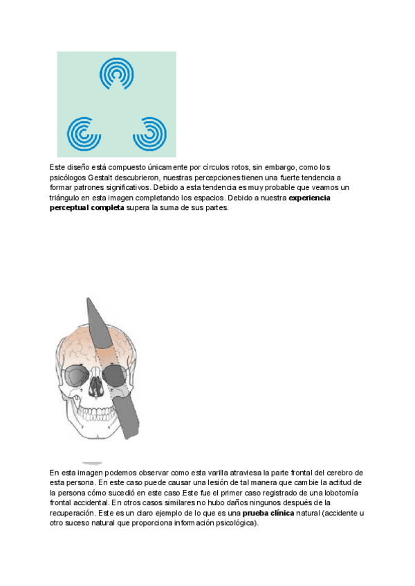 Miniatura del documento Posibles-fotos-examen-psicologia.pdf