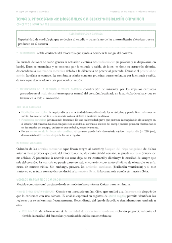 Miniatura del documento t.3 bioseñales--imagenes-medicas-parcial-2.pdf