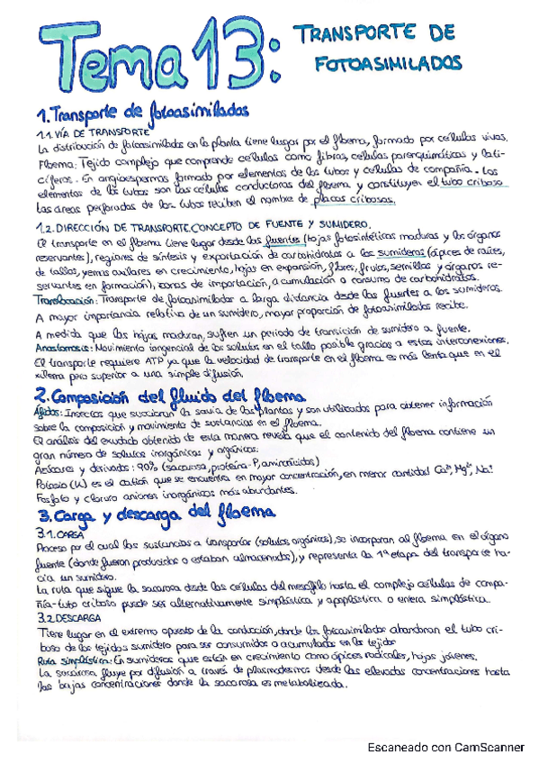 Miniatura del documento Tema-13-Transporte-de-fotoasimilados.pdf