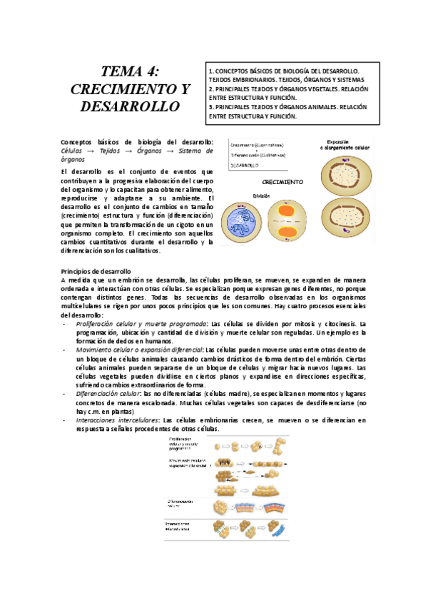 Miniatura del documento TEMA-4-CRECIMIENTO-Y-DESARROLLO.docx-3.pdf