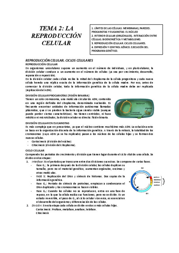 Miniatura del documento TEMA-2-ESTRUCTURA-Y-FUNCION-DE-LAS-CELULAS-2.docx-1.pdf