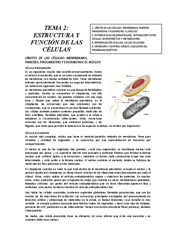 Miniatura del documento TEMA-2-ESTRUCTURA-Y-FUNCION-DE-LAS-CELULAS-1.docx.pdf