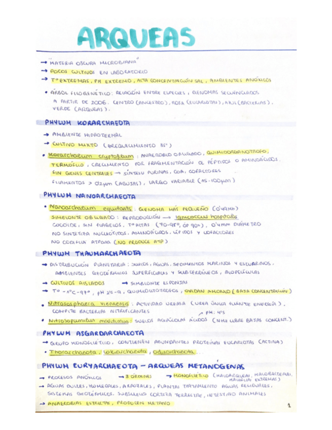 Miniatura del documento arqueas-456.pdf