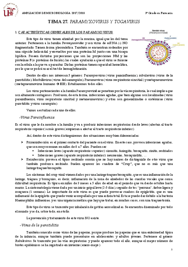Miniatura del documento TEMA 27 PARAMYXOVIRUS Y TOGAVIRUS.pdf