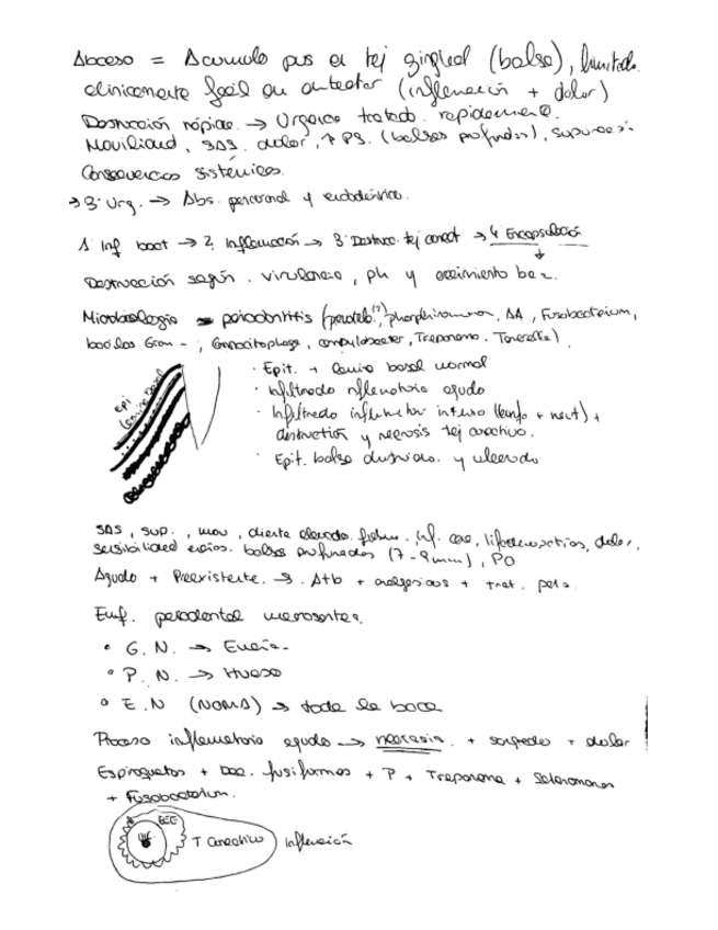 Miniatura del documento Tema-14.-Urgencias-en-periodoncia.pdf