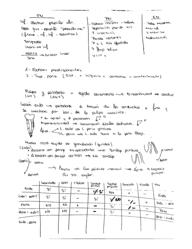 Miniatura del documento Temas-8-y-9.-Endo-y-orto-perio.pdf