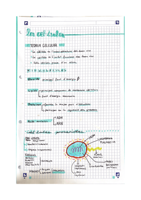 Miniatura del documento La-cel.lula.pdf