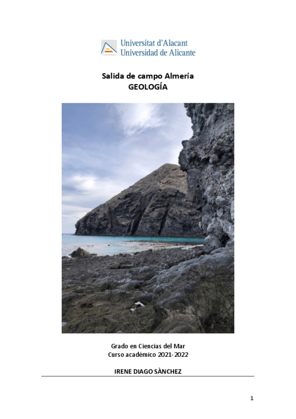 Miniatura del documento Informe-Almeria.pdf